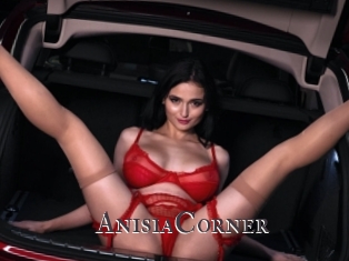 AnisiaCorner