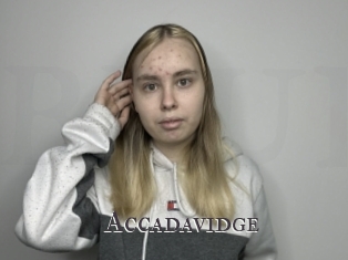 Accadavidge