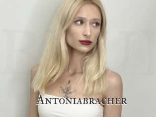 Antoniabracher