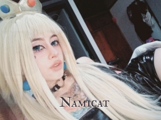 Namicat