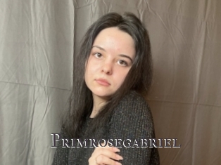 Primrosegabriel