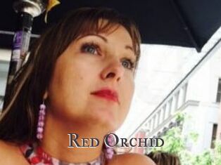 Red_Orchid